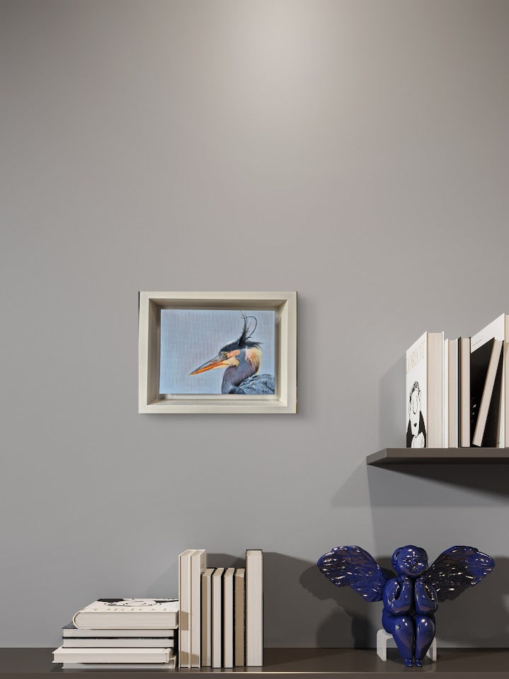 Grey Heron