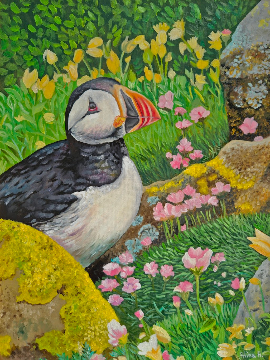 Puffin at Saltee Island, Ireland