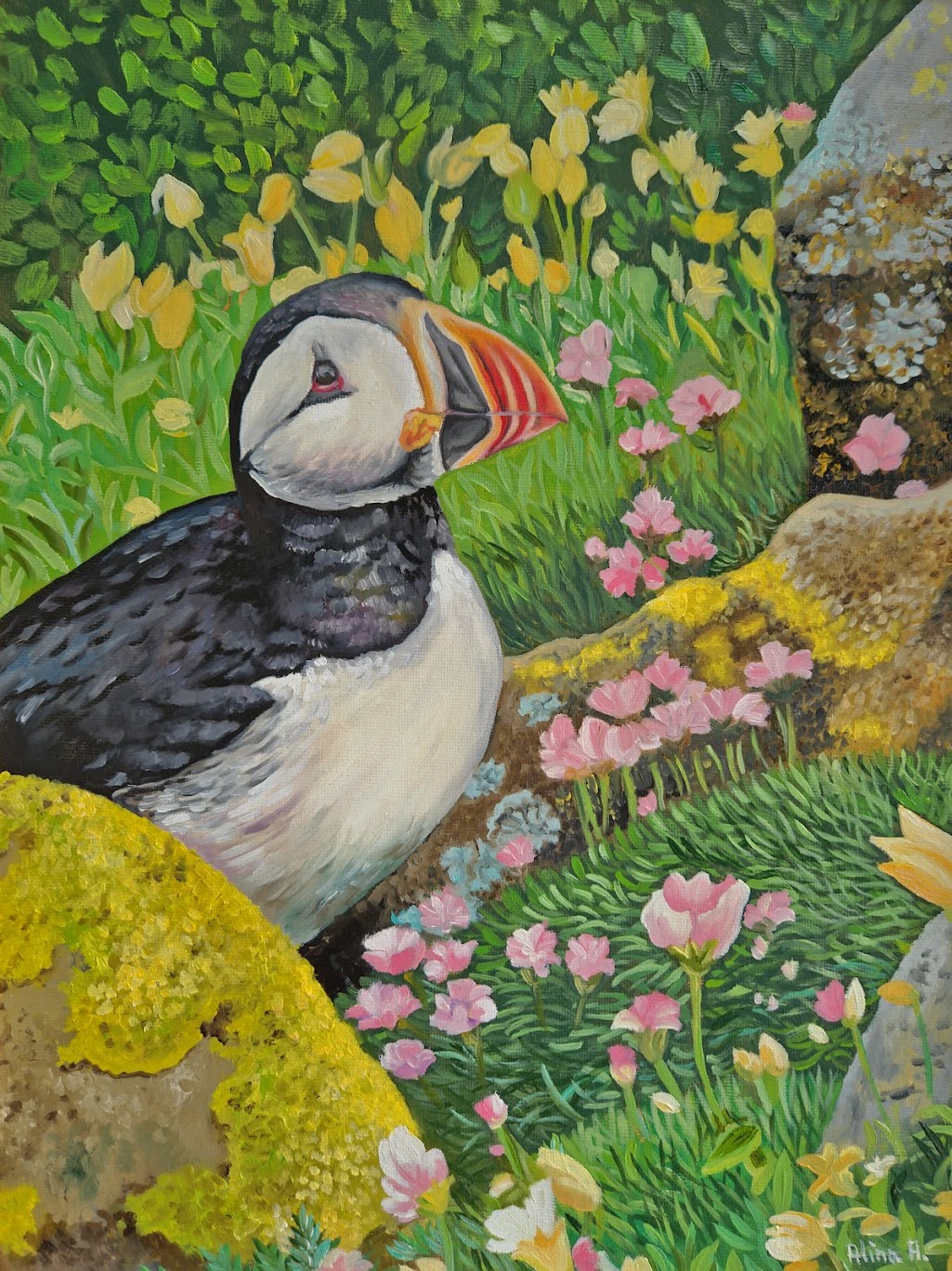 Puffin at Saltee Island, Ireland