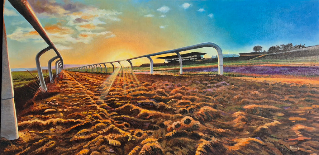 Curragh Racecourse Track at Sunset