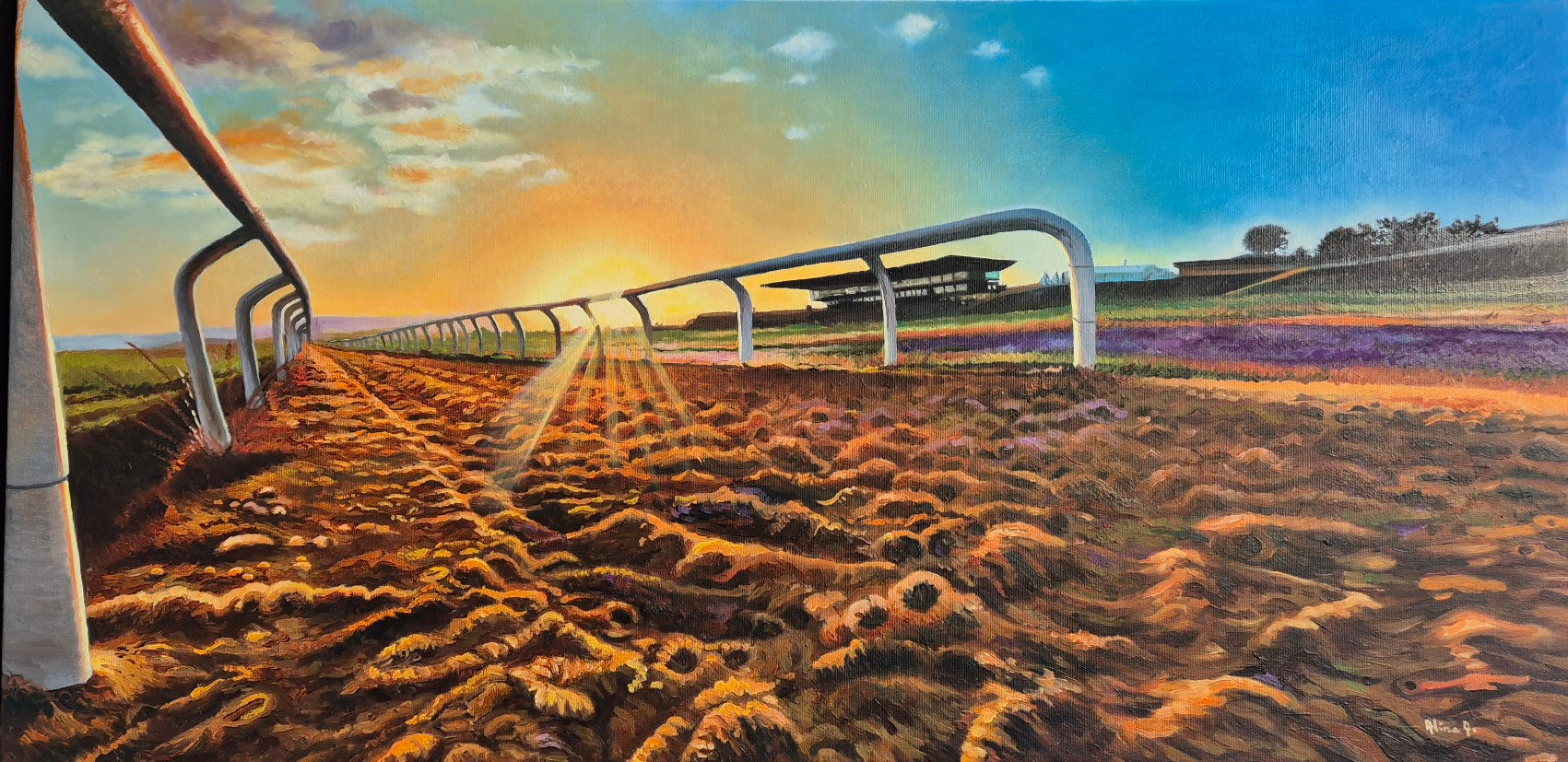 Curragh Racecourse Track at Sunset