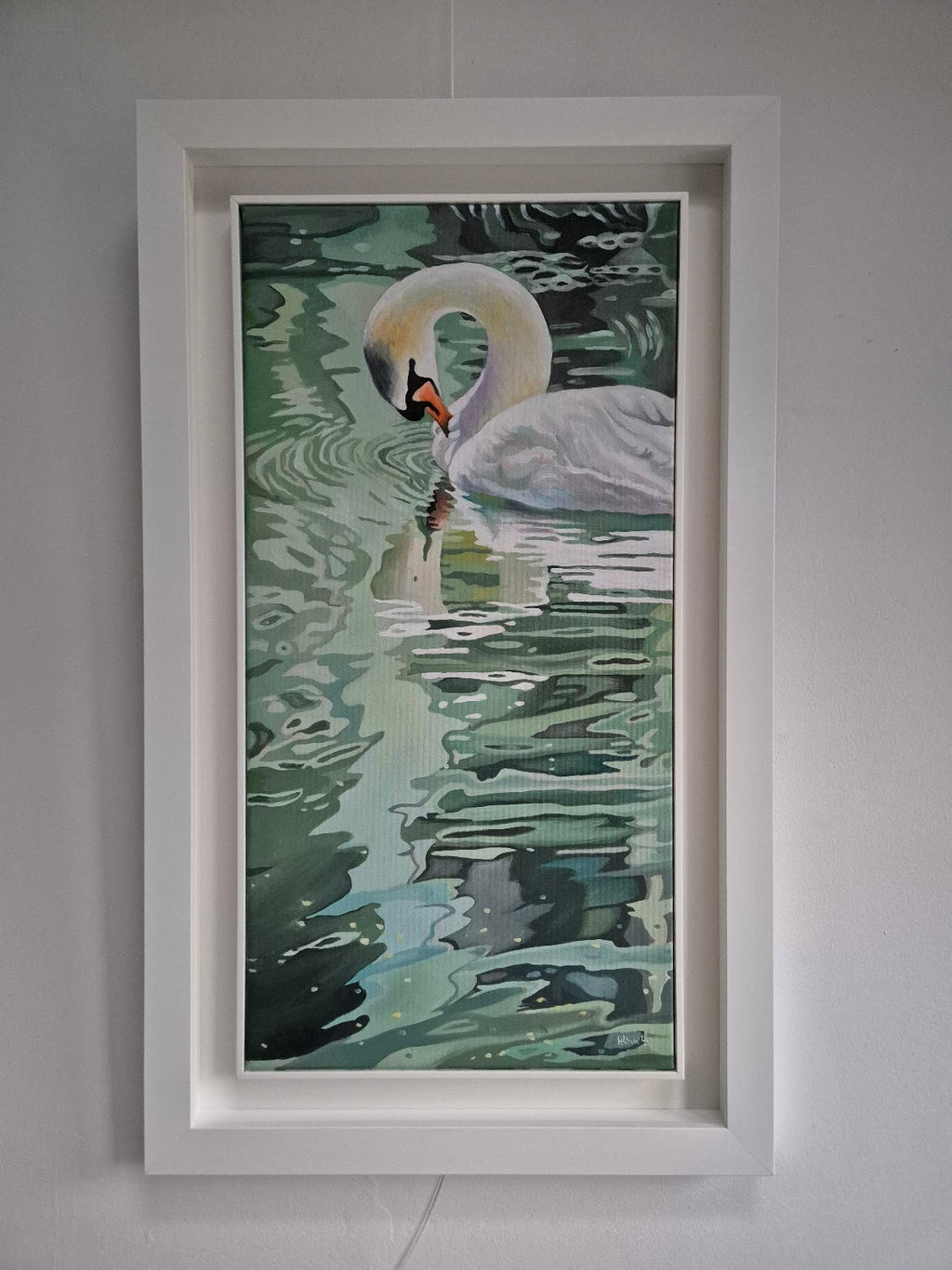 Echoes of the Swan