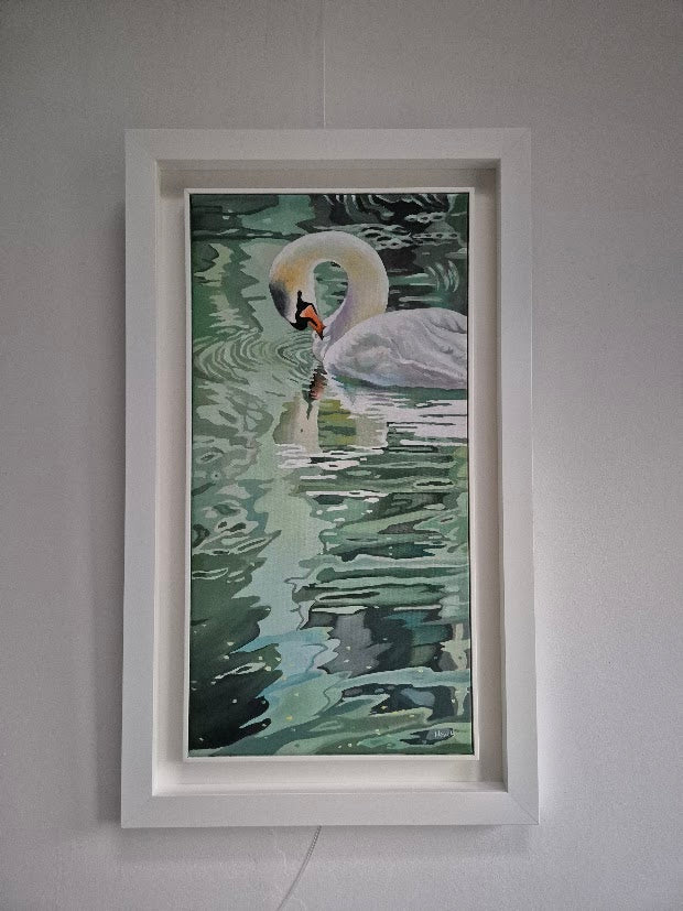 Echoes of the Swan