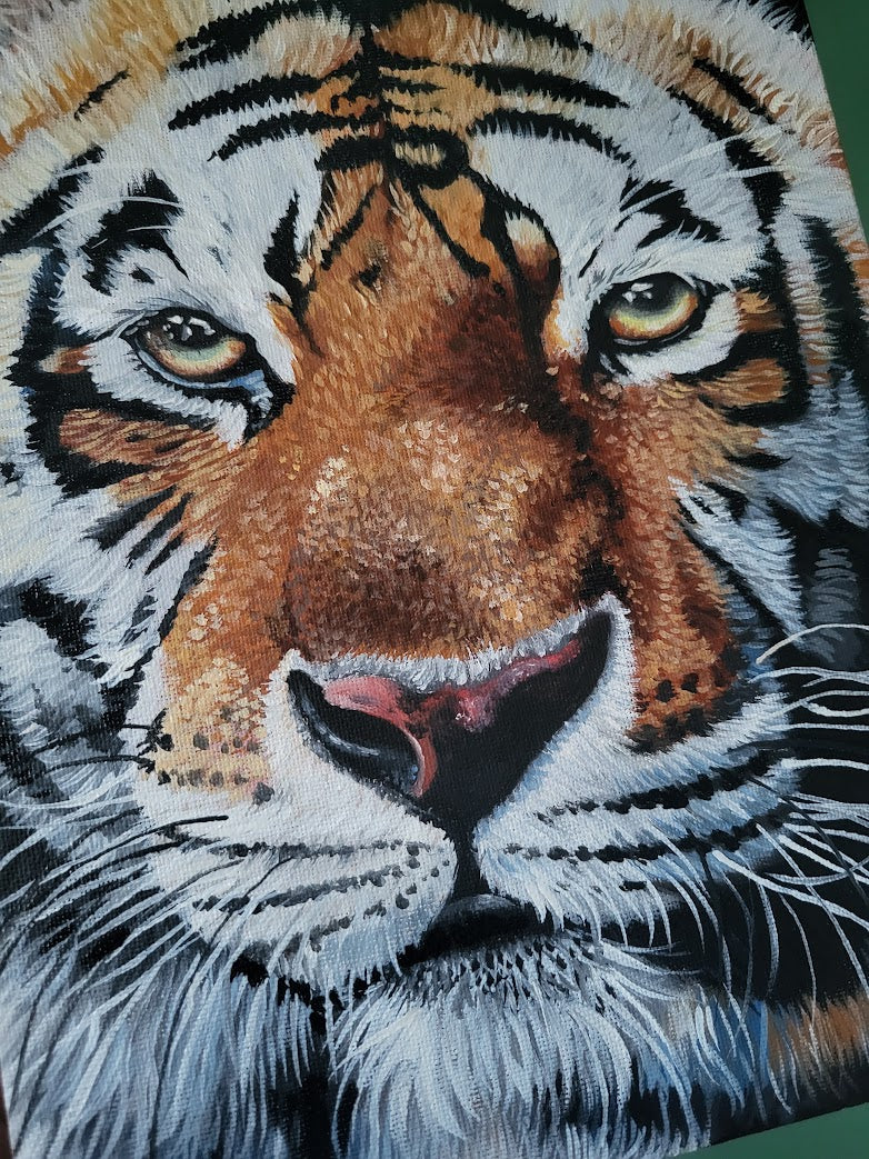 Tiger Portrait