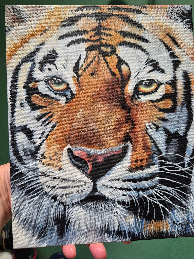 Tiger Portrait