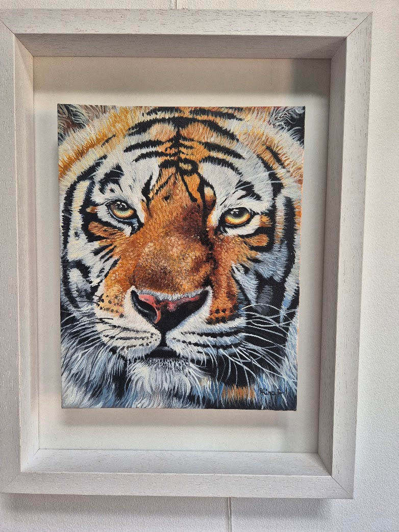 Tiger Portrait