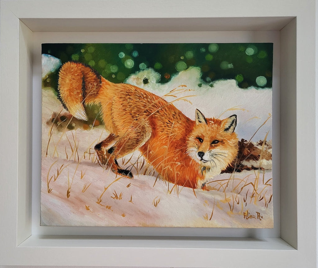 Original oil painting of a red fox in snow, framed in white float frame, by Alina Laura Anton