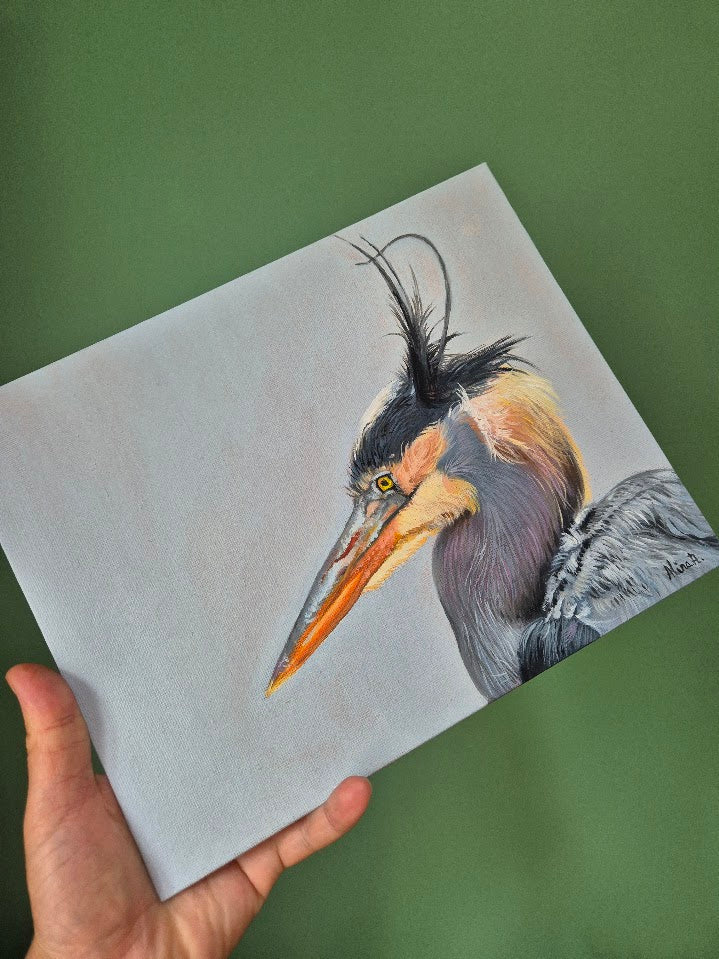Grey Heron