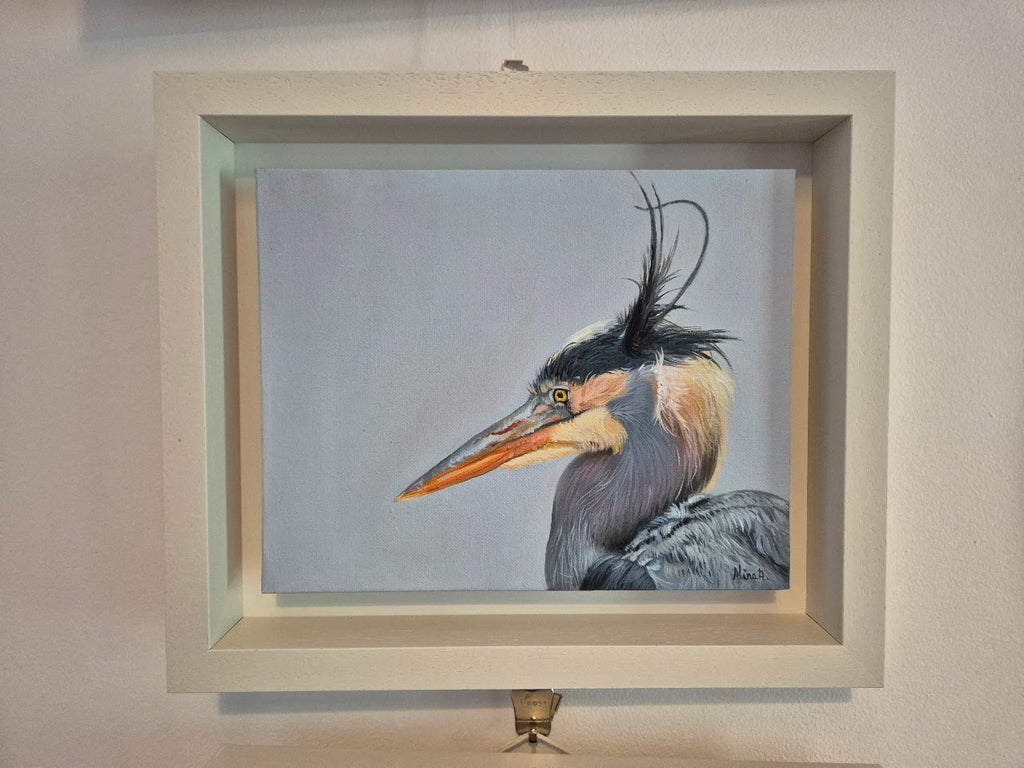 Grey Heron