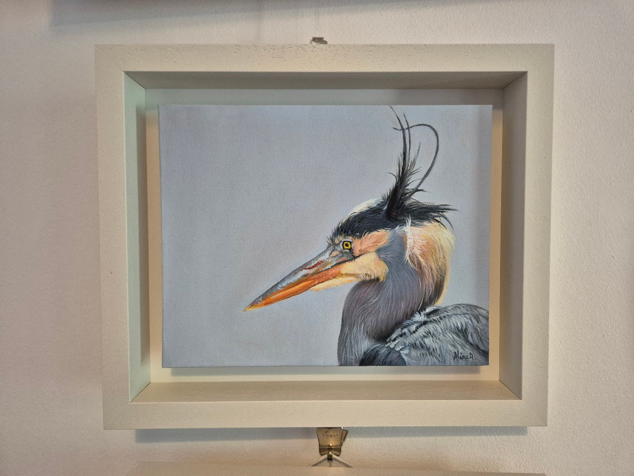 Grey Heron