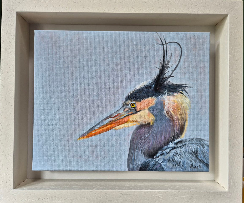 Grey Heron