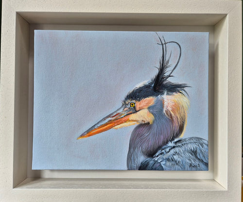 Grey Heron